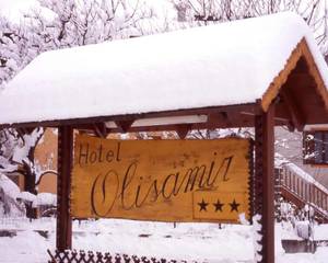 Hotel Olisamir