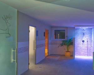 Park Hotel Sancelso