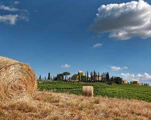 Borgo Tre Rose
