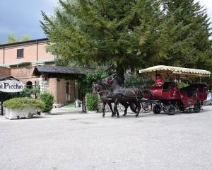 LH Hotel il Picchio