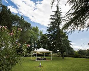 Hotel Executive Siena