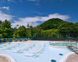 Hotel Petrarca Terme
