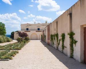 Masseria Fontana di Vite