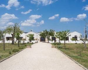 Masseria Fontana di Vite