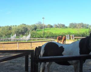 Agriturismo Fassi