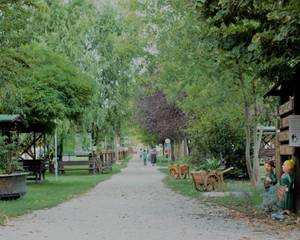 Agriturismo Tre Rondini