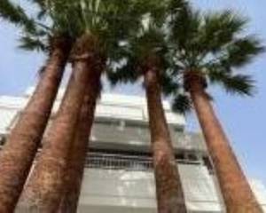 Hotel Mediterraneo