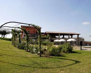 Tenuta del Perugino