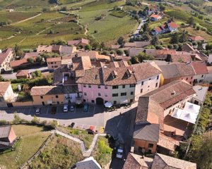 Hotel Belvedere