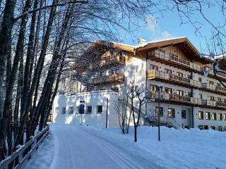 Avisio Park Hotel