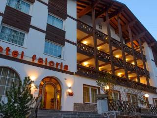Park Hotel Faloria