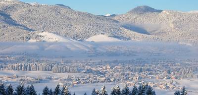 Asiago