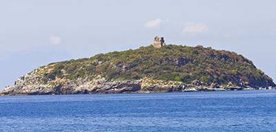 Cirella