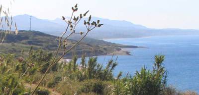 Cirò