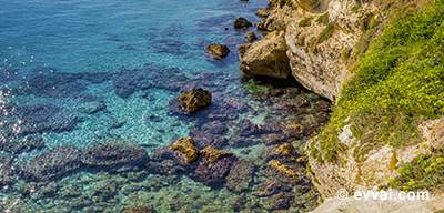 Roca