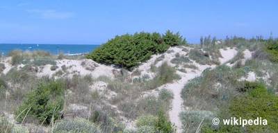 Tirrenia
