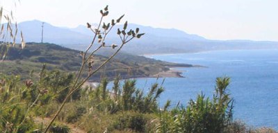 Cirò