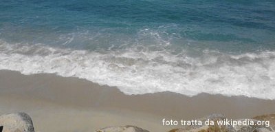 Parghelia