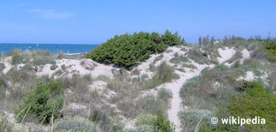 Tirrenia