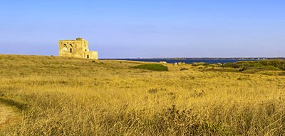 Torre Guaceto
