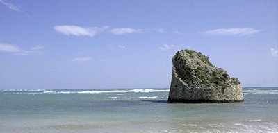 Torre Pali