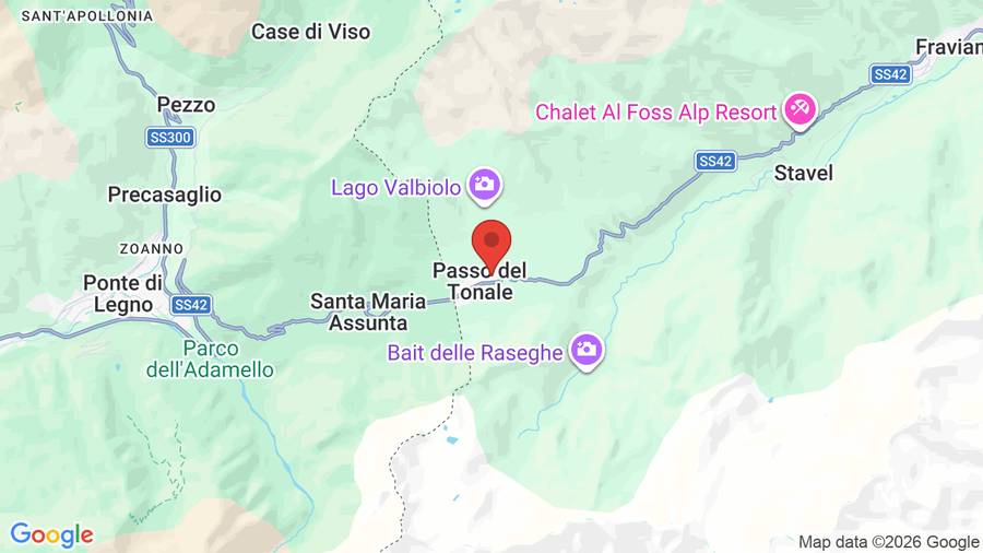 Mappa Hotel delle Alpi