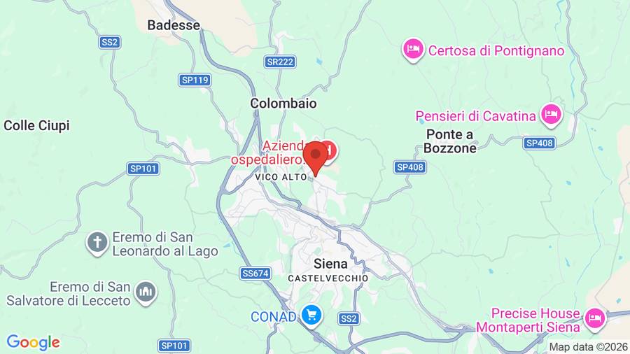Mappa Hotel Executive Siena