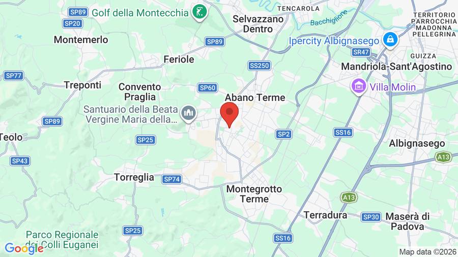 Mappa Palace Hotel Meggiorato