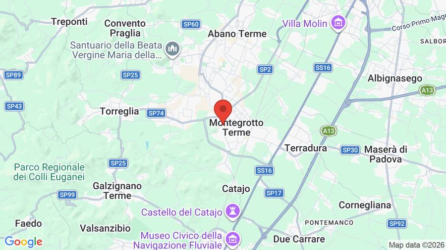 Mappa Hotel Petrarca Terme