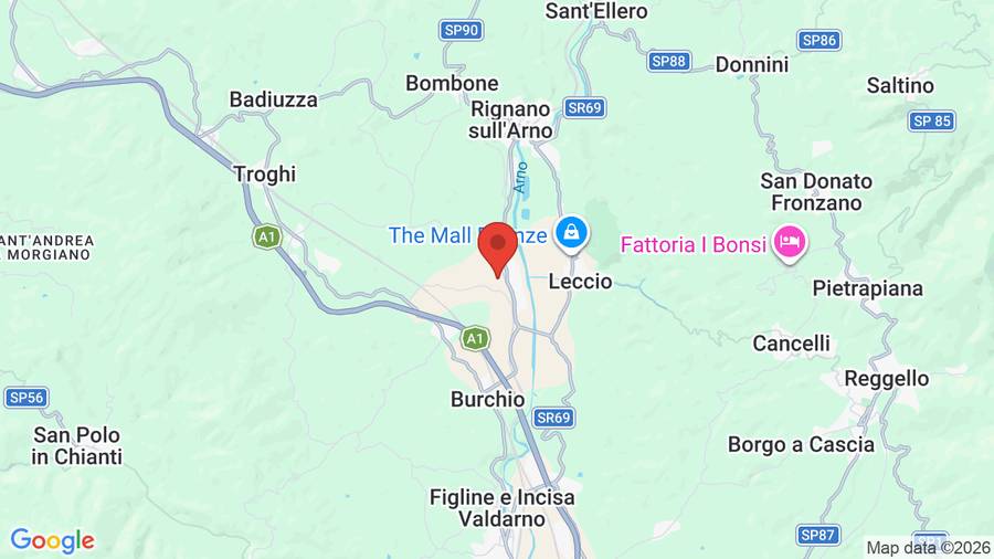 Mappa Villa Il Palagio