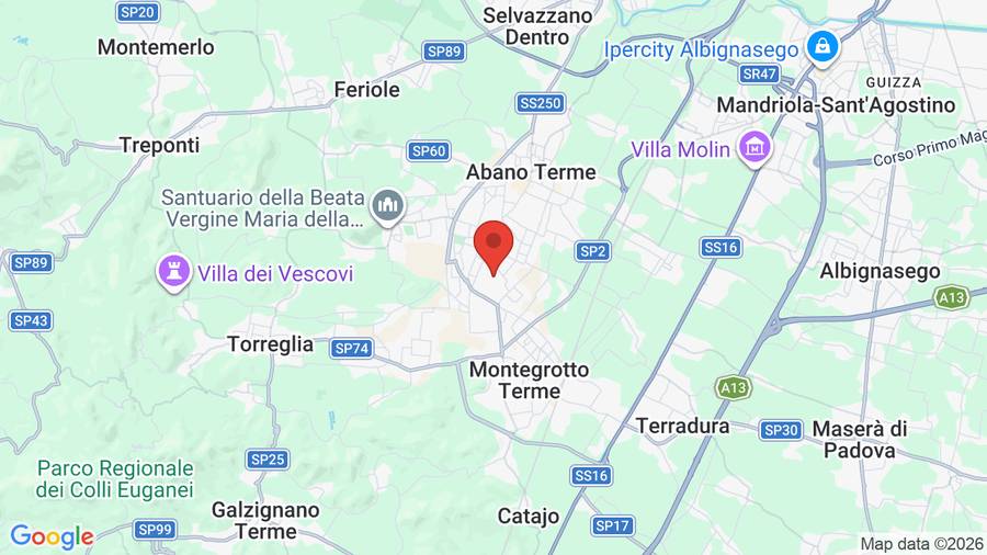 Mappa Hotel Terme Abano Verdi