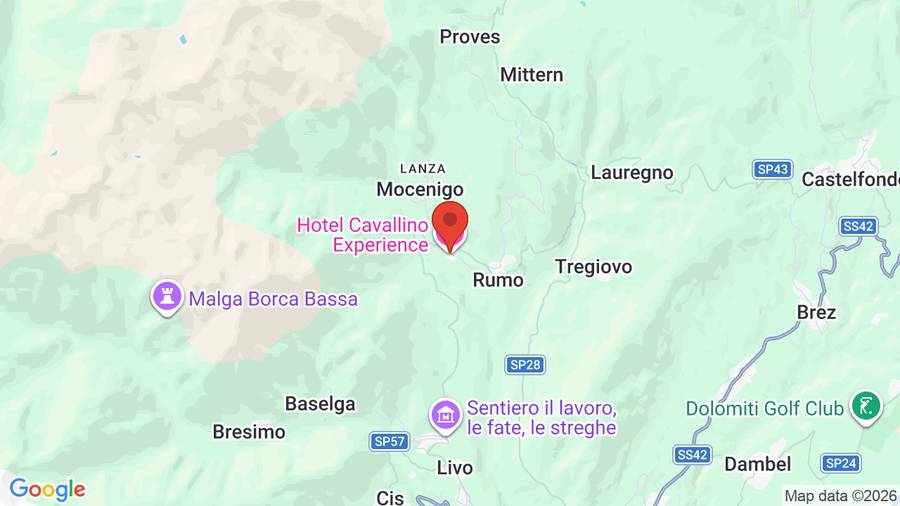 Mappa Hotel Cavallino Experience