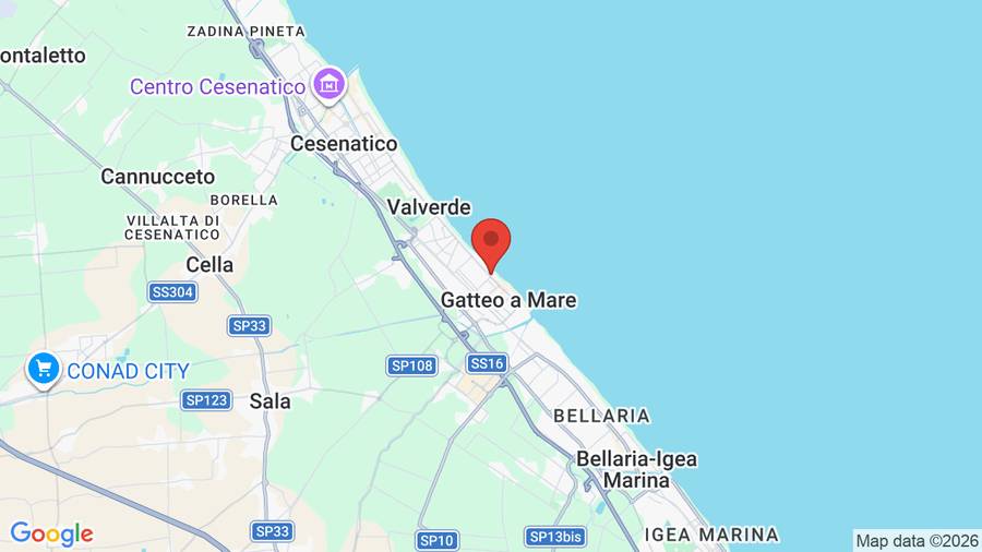 Mappa Hotel David