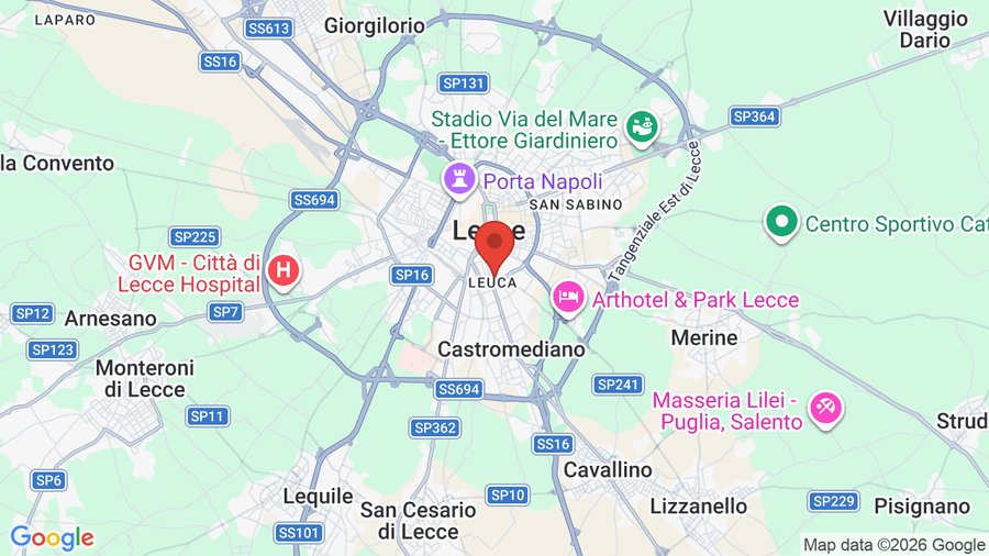 Mappa Hotel delle Palme
